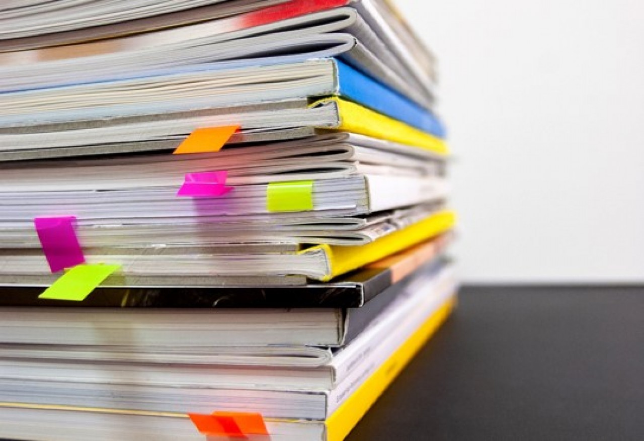 bernd klutsch nE2HV5AUXFo unsplash beschnitt