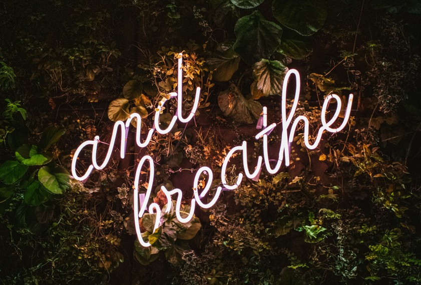 max van den oetelaar 4c41A6Sjvog unsplash